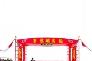 评论区前十高频词排列示意