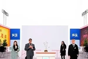 同题材旧案与新案对照表样式